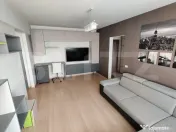 Apartament 2 camere, modern, A.C, parcare, zona : Somes, Gri