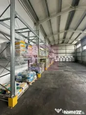 Hale industriale cu parcari multiple Bragadiru Sos Alexandriei stradal 