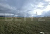Teren extravilan 2.800 mp în Curteni – potențial investi 