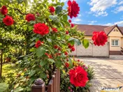 Casa cu vatra traditionala, gradina, garaj, facilitati, Codl