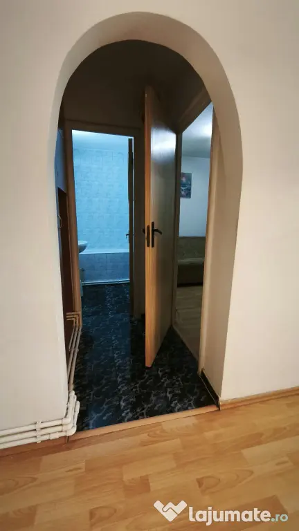 Apartament 2 camere - Pantelimon