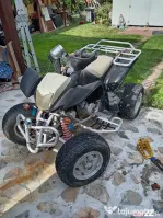 ATV 250 Kymco import