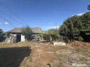 Casă in Tifesti cu teren agricol si padure 