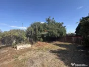 Casă in Tifesti cu teren agricol si padure 