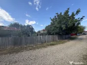 Casă in Tifesti cu teren agricol si padure 