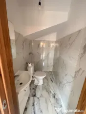Spatiu comercial zona Eroilor