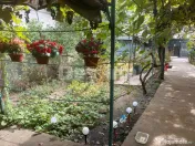 Teren cu construcții și potențial de dezvoltare | Ciupercă – Domenii