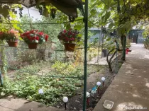 Teren cu construcții și potențial de dezvoltare | Ciupercă – Domenii