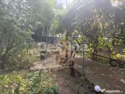 Teren cu construcții și potențial de dezvoltare | Ciupercă – Domenii