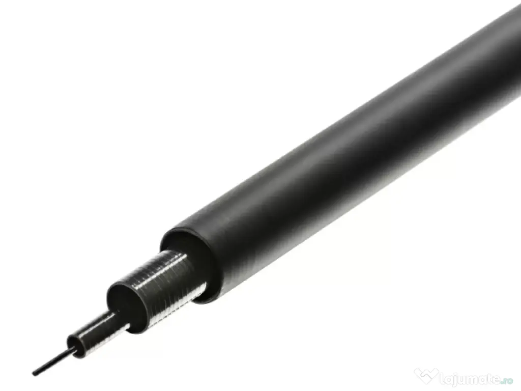Varga Brain Phantom Pole 4m
