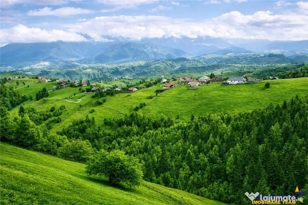 7.000 mp, pozitie spectaculoasa, fara vecini, Fundatica, Bra - Bran (Brasov)