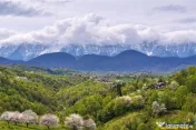 7.000 mp, pozitie spectaculoasa, fara vecini, Fundatica, Bra 