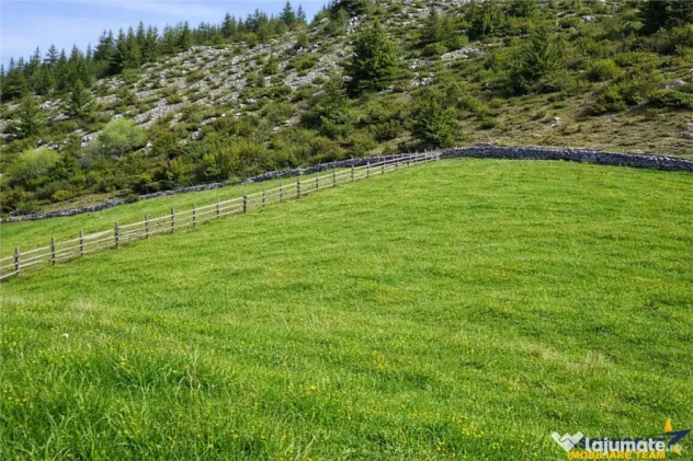 7.000 mp, pozitie spectaculoasa, fara vecini, Fundatica, Bra - Bran (Brasov)