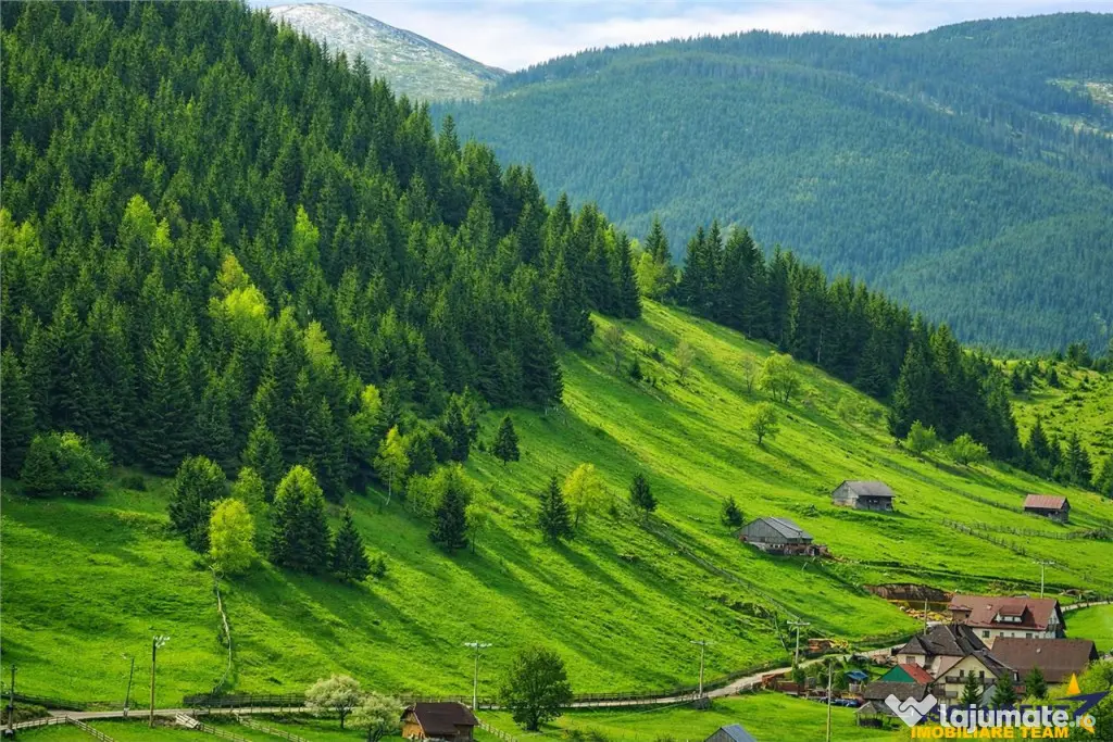 7.000 mp, pozitie spectaculoasa, fara vecini, Fundatica, Bra - Bran (Brasov)