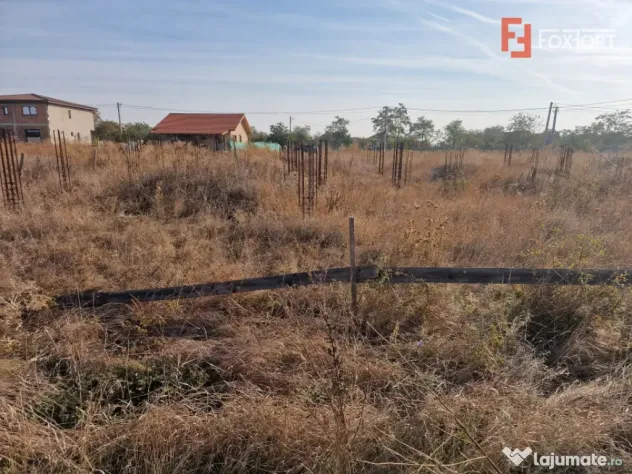 Teren intravilan de 922 mp cu utilitati - Ianova - Ianova (Timis)