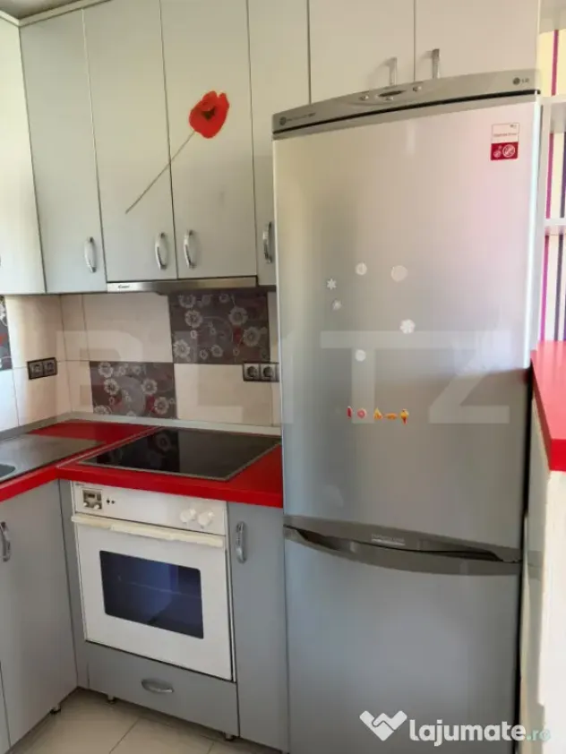 Garsoniera de inchirat, 22 mp, zona Expo Transilvania - Cluj-Napoca (Cluj)