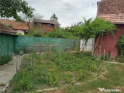 Casa de 3 camere, 500mp teren bucatarie de vara sura-Bod 