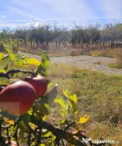 Teren intravilan in zona Evergreen 