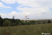 Teren intravilan cu PUZ si PUD 2 loturi 