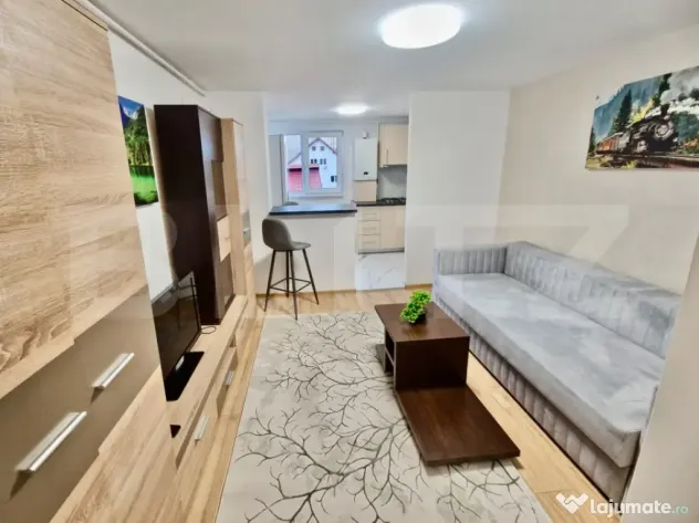 Garsonieră decomandată, renovată complet și mobilată ?? - Brasov (Brasov)