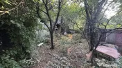 Teren Banu Manta - Primaria Sectorului 1 