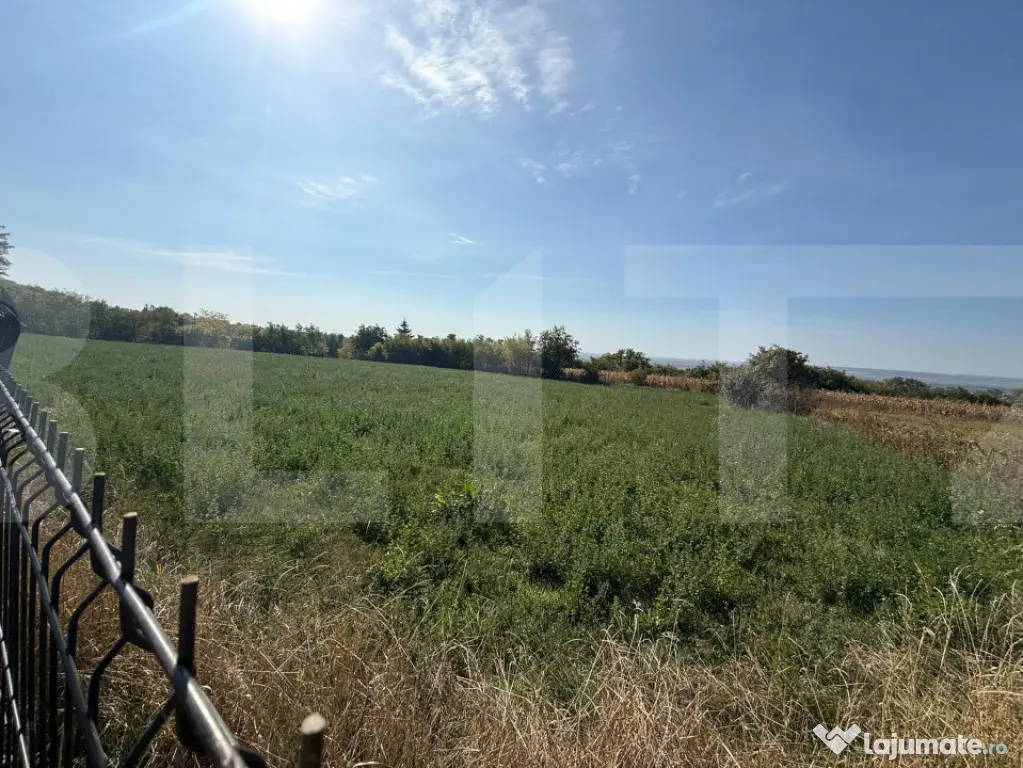 Teren intravilan, 3600 mp, zona Calinesti-Bucecea - Calinesti (Candesti) (Botosani)