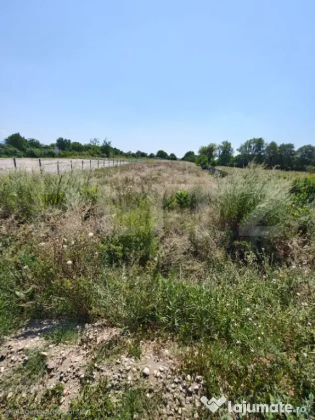 Teren Intravilan, 2857 mp,zona Corod. - Corod (Satu-Mare)