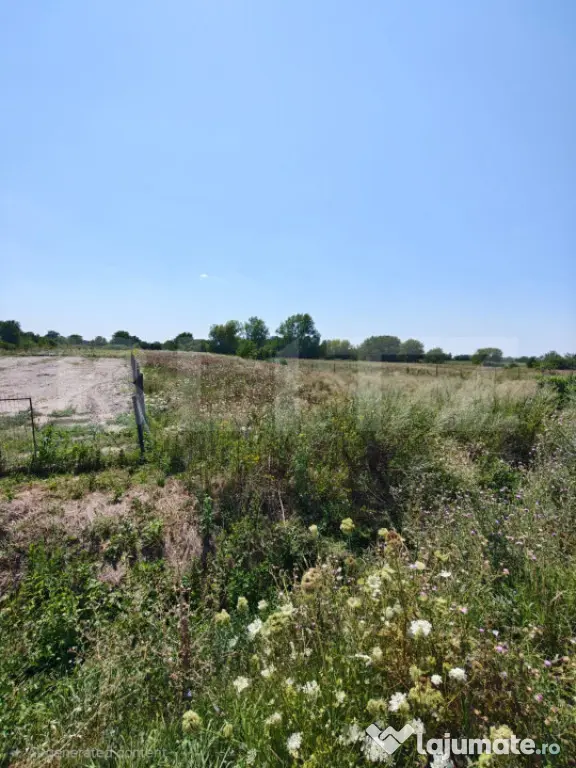Teren Intravilan, 2857 mp,zona Corod. - Corod (Satu-Mare)
