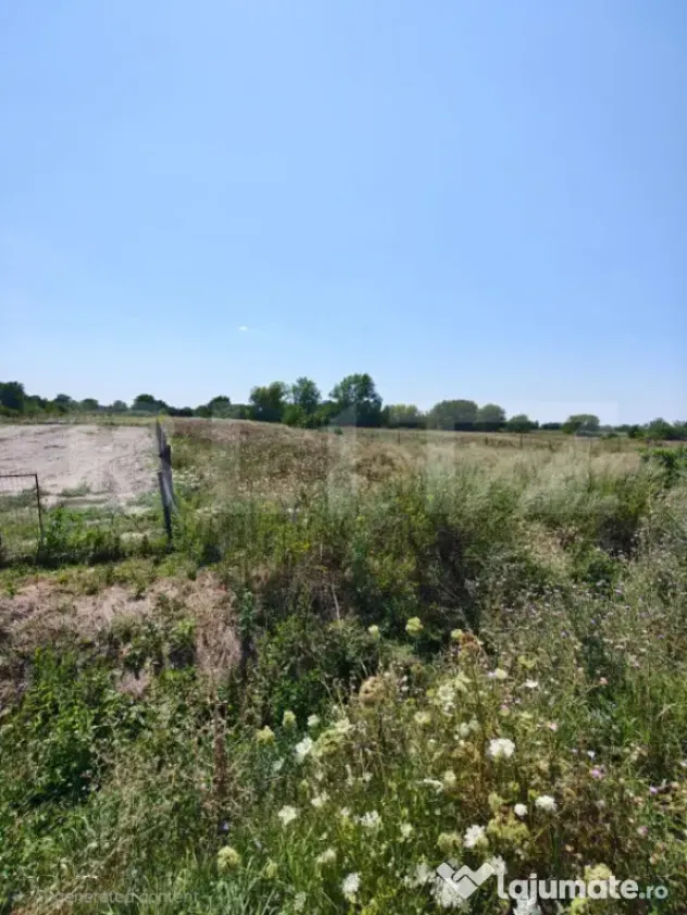 Teren Intravilan, 2857 mp,zona Corod. - Corod (Satu-Mare)