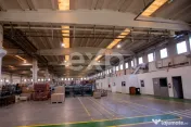 Hală industrială premium de vânzare | 5.100 mp construiț 