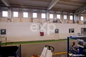 Hală industrială premium de vânzare | 5.100 mp construiț 