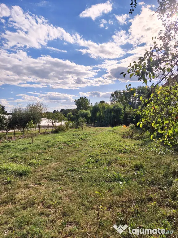 Proprietate cu acces direct la Lacul Snagov | Teren 1.842 mp - Silistea Snagovului (Bucuresti-Ilfov)