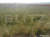 Teren de vanzare, 800 mp, zona Sud-Vest 