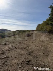 Teren extravilan in suprafata de 3 hectare 