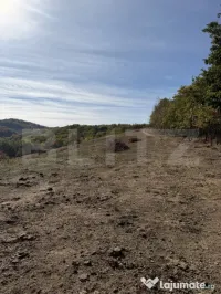 Teren extravilan in suprafata de 3 hectare 