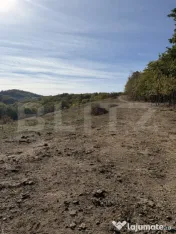 Teren extravilan in suprafata de 3 hectare 