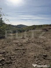 Teren extravilan in suprafata de 3 hectare 