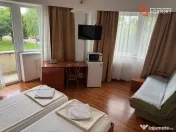 Pensiune de vanzare 16 camere, 600 mp - zona Mehala - Potent