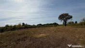 De vanzare | Parcele teren intravilan | 600 mp parcela | Lan 