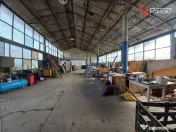 Hala industriala + Teren 7.742 mp | zona Buziasului | 1.200 