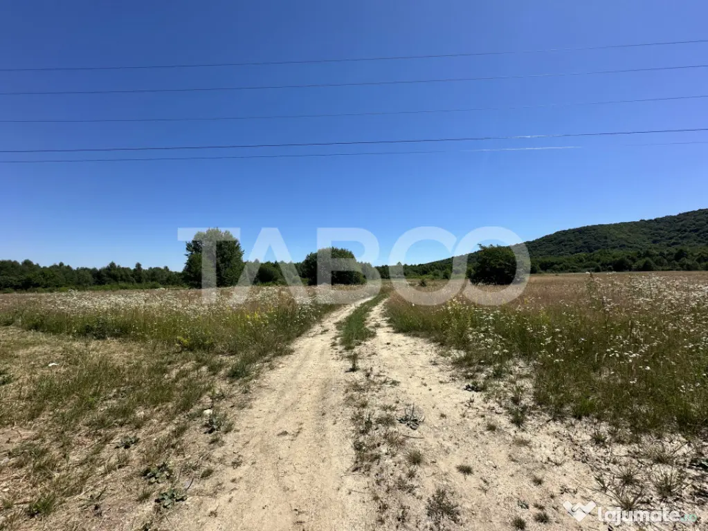 Teren extravilan 1900 mp cu utilitati in apropiere pe Valea - Sebes (Brasov)