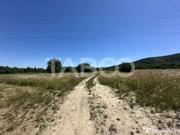 Teren extravilan 1900 mp cu utilitati in apropiere pe Valea - Sebes (Brasov)