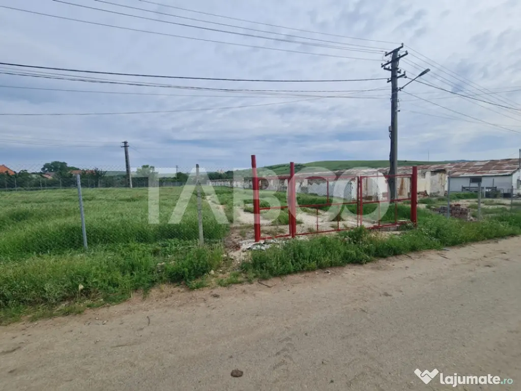 Hala in constructie cu teren intravilan de vanzare in Cut ju - Cut (Alba)