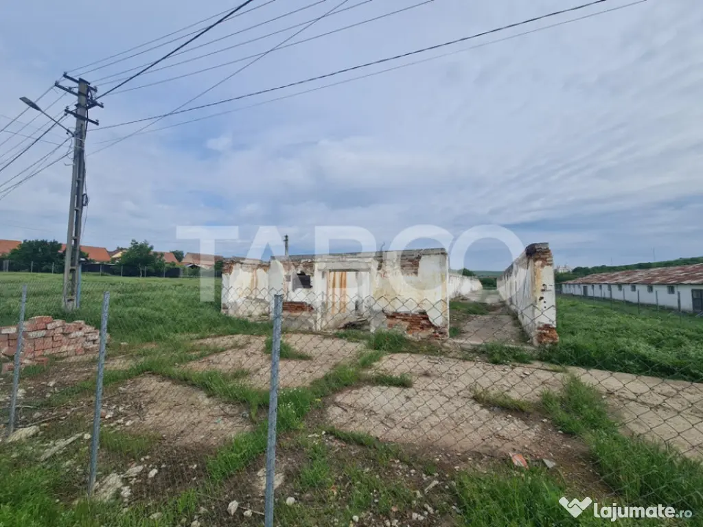 Hala in constructie cu teren intravilan de vanzare in Cut ju - Cut (Alba)