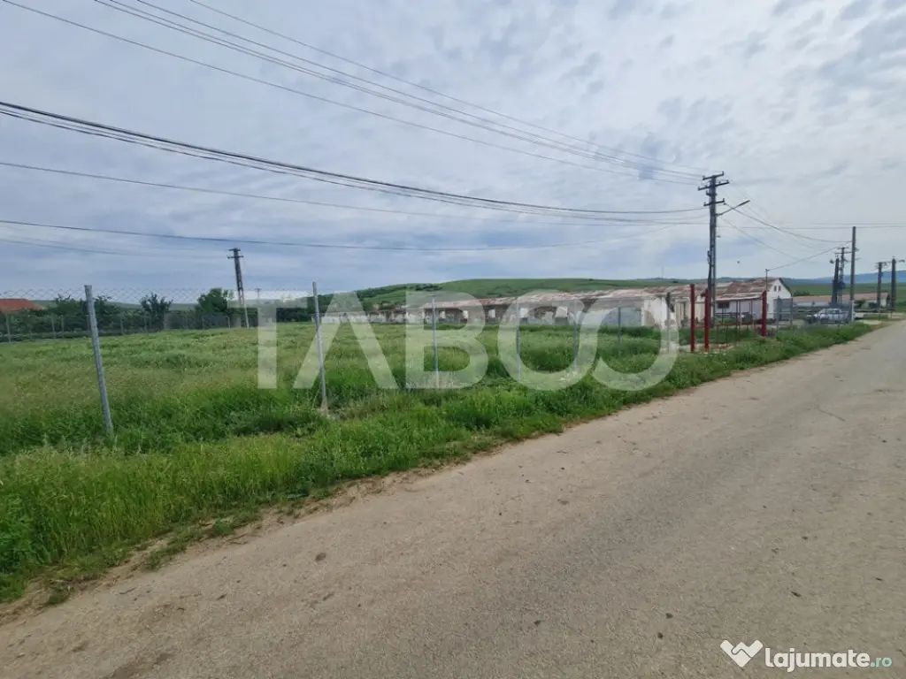 Hala in constructie cu teren intravilan de vanzare in Cut ju - Cut (Alba)