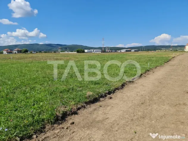 Teren de vanzare pe drumul vechi al Pianului - Sebes (Alba)