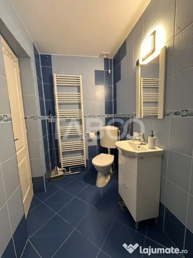 Doua apartamente in aceeasi curte direct cu chirias Lazaret - Sibiu (Sibiu)