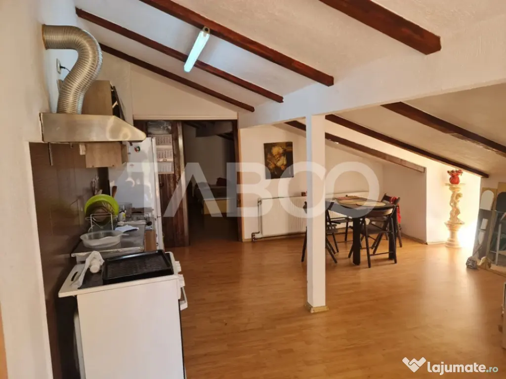Casa de vanzare in Sebes langa lac - Sebes (Alba)