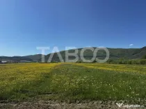 Teren de vanzare suprafata de 3000 mp in zona industriala Po