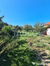 Casa cu spatiu comercial de vanzare in Sebes zona centrala 